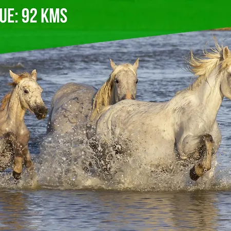 Le Roustan - Halles A 2 Mins - Wifi - Clim *