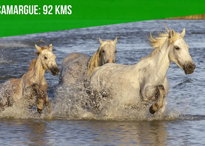 Le Roustan - Halles A 2 Mins - Wifi - Clim *